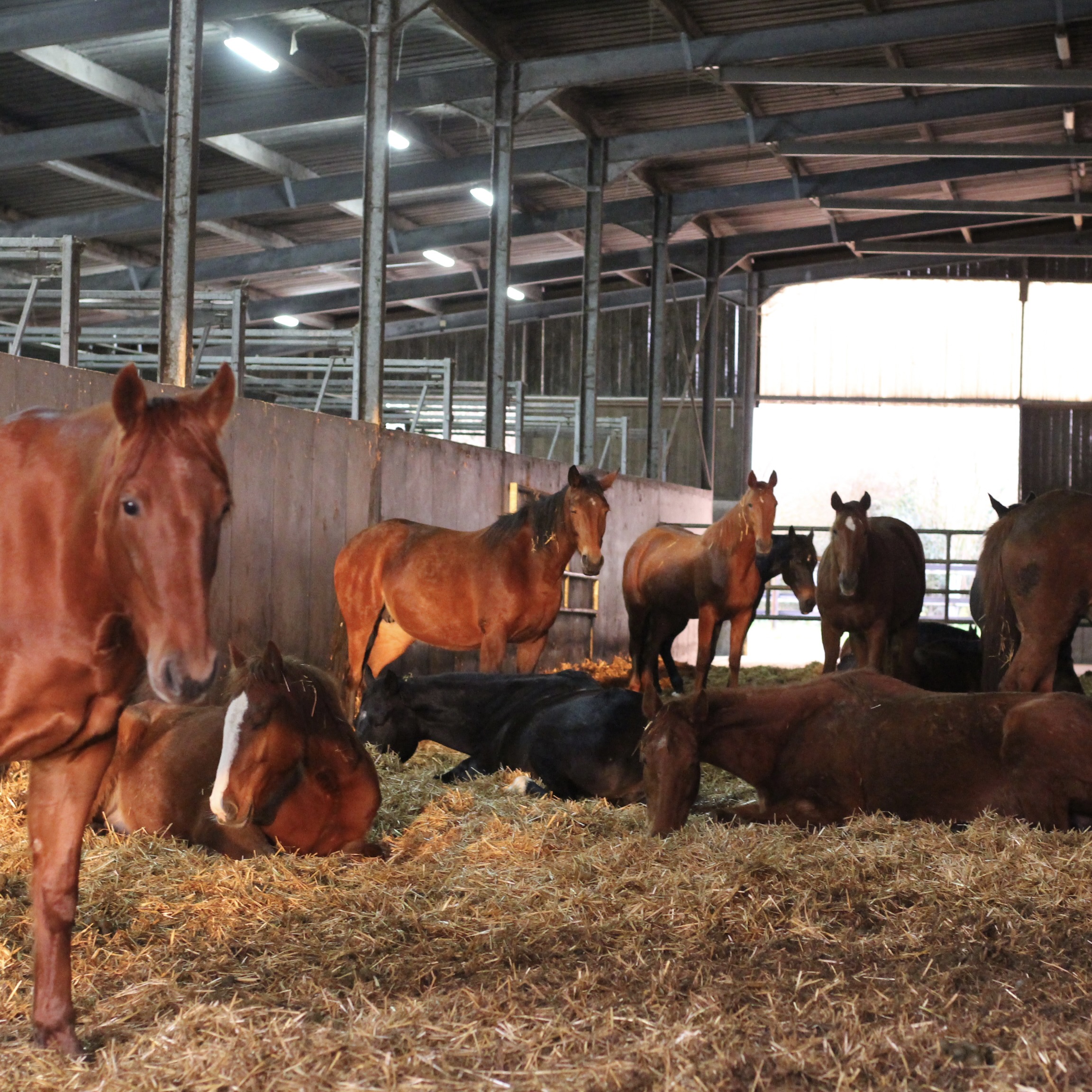 La ferme d'Axelle — photo 2